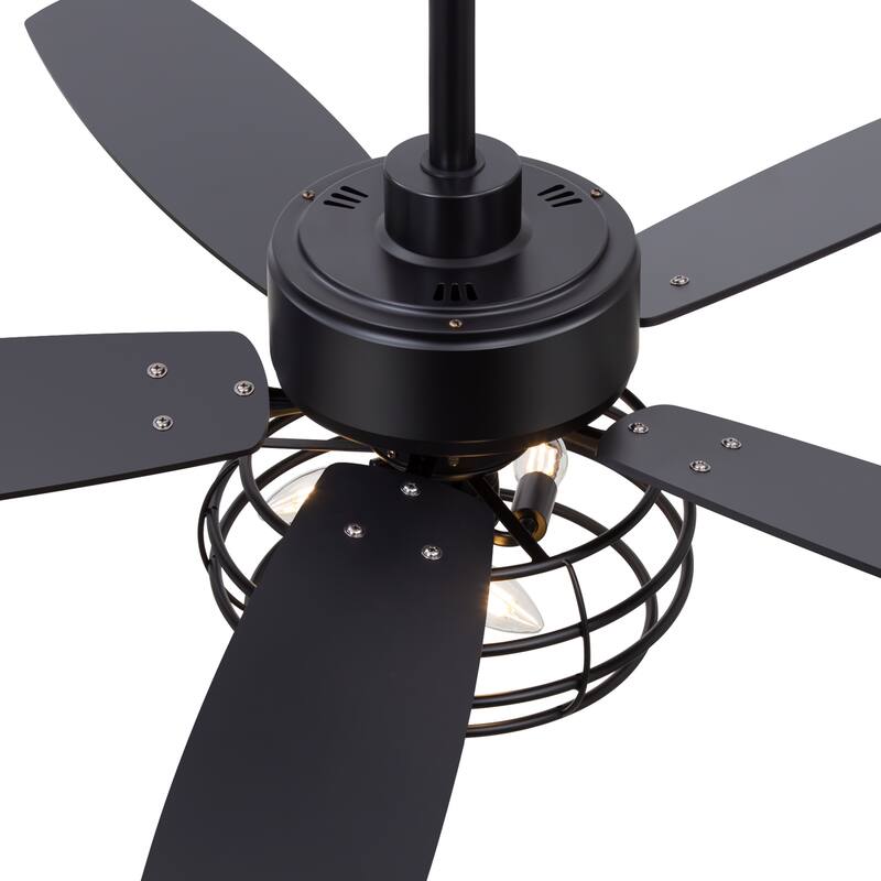 Modern Ceiling Fan with LED Light & Remote Control