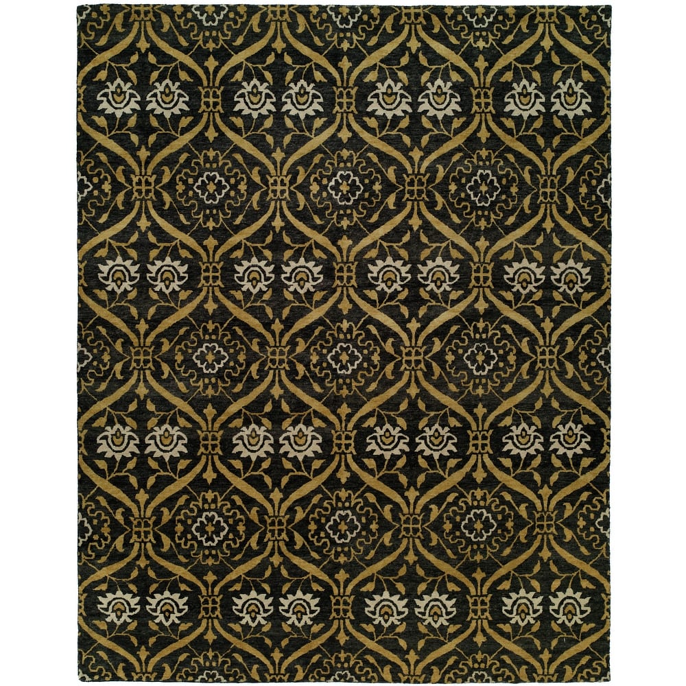 Transitional Multi-Colored Hand-Knotted Wool Area Rug