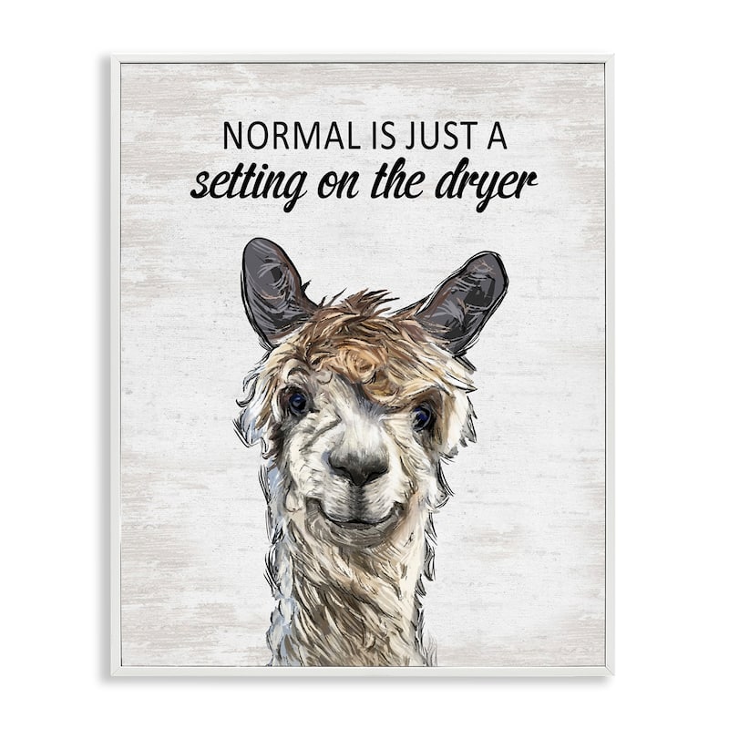 Stupell Normal is Just Dyer Setting Framed Giclee Art Design By Lettered and Lined - 16 x 20 - White