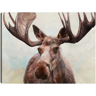 Moose By Studio Arts Canvas Art Print