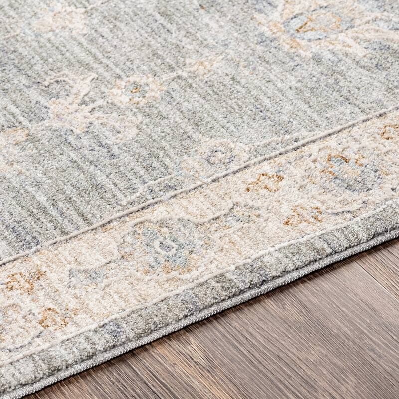 Livabliss Tritan Traditional Area Rug