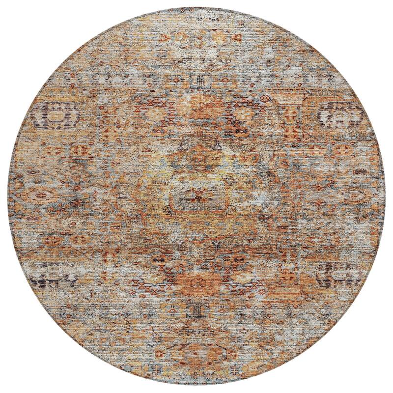 Machine Washable Indoor/ Outdoor Vintage Traditional Chantille Rug