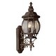 preview thumbnail 1 of 1, Trans Globe Lighting Three Light Up Lighting Wall Sconce from the