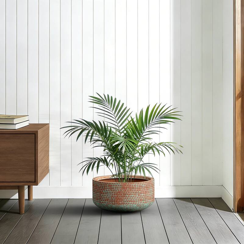 Round Concrete Bowl Planter with Drainage Hole and Enhanced Interior - 16.5 x 8