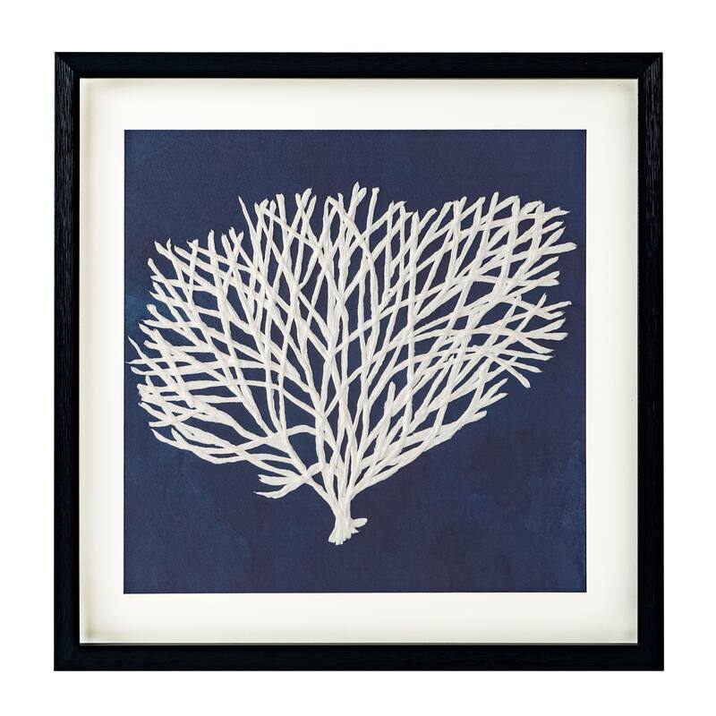 Sea Fan, Shadow Box