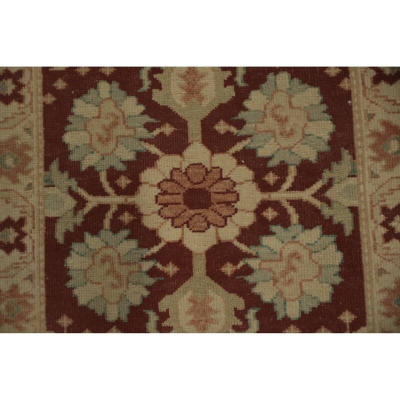 Hand Knotted Oriental 100% Wool Carpet Traditional All-Over Red Ziegler Area Rug - 3' 8'' X 2' 0''