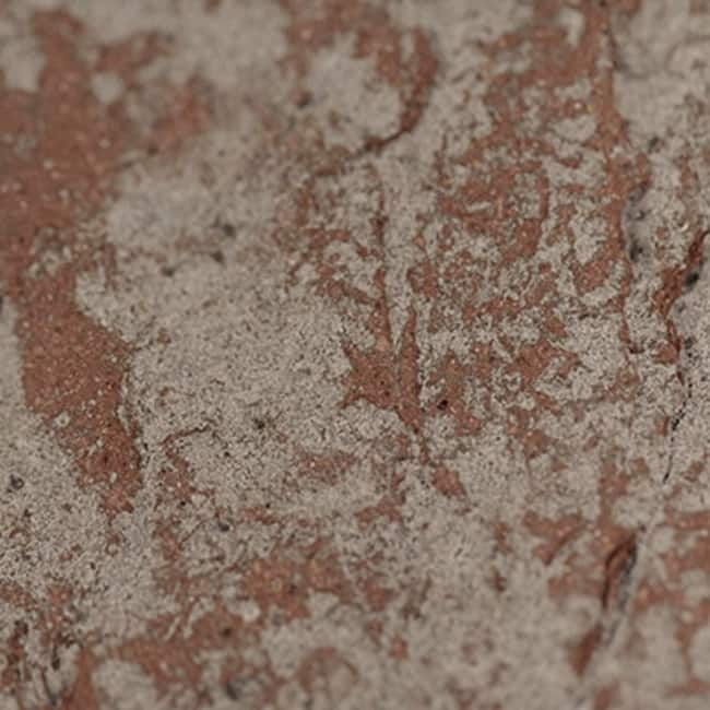 Ackland AKM-B-TE11X2CRN-CA Terabrik - 2" x 11" Clay Brick Floor and