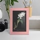 preview thumbnail 8 of 118, Orchid on Slate III -Framed Print w/glass-Cherry Red