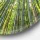 preview thumbnail 3 of 7, Designart 'Peaks of Bamboo in Kyoto Forest' Oversized Forest Wall CLock