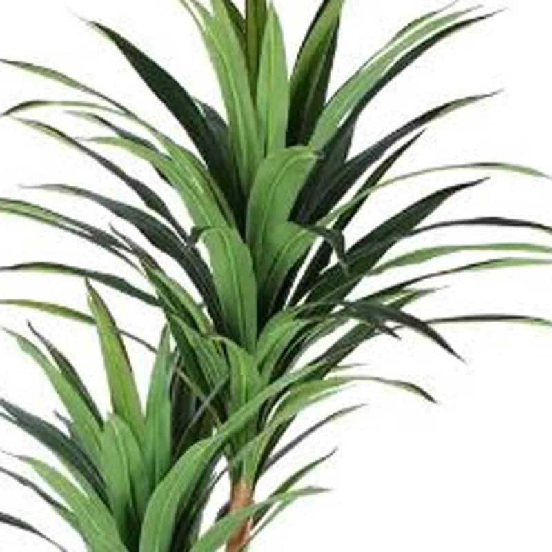 HomeRoots 79" Green Artificial Yucca Tree in a Black Pot - 7.48 in. x 78.74 in. x 7.48 in.