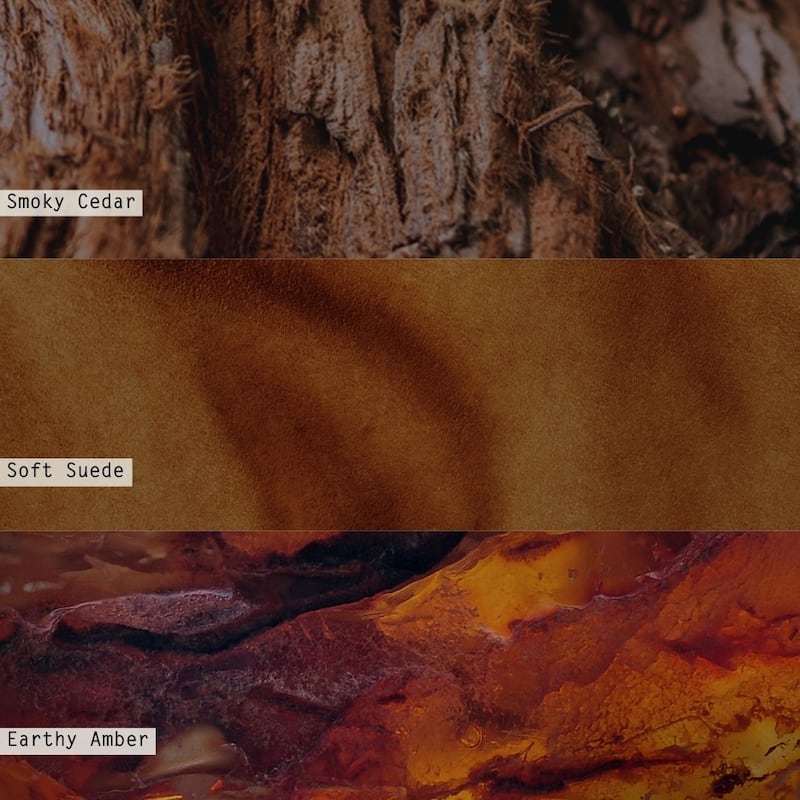 ILLUME Noble Autumn Woodfire Candle