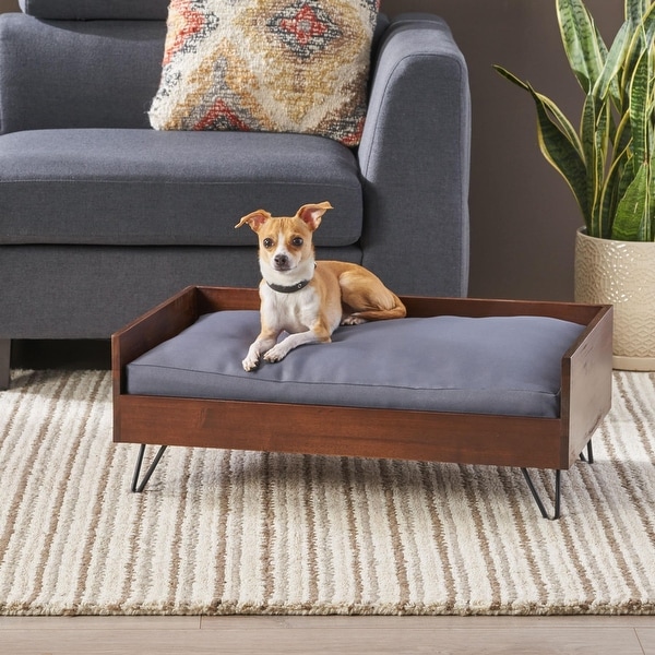 modern dog bed