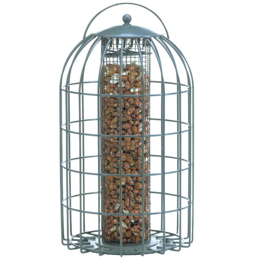 Shop The Nuttery Nt067 Squirrel Resistant Classic 2 In 1 Bird