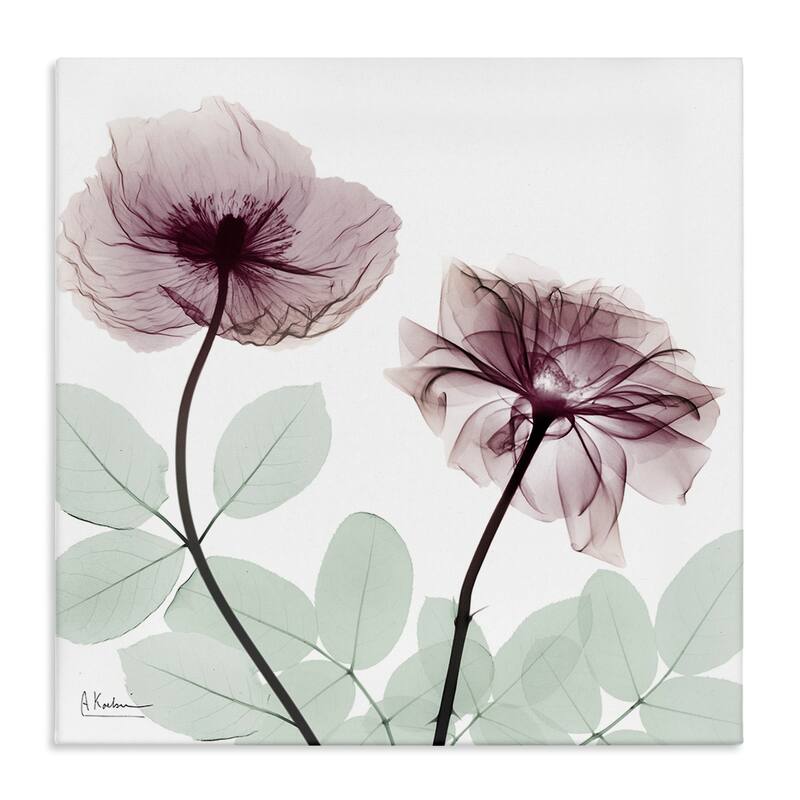 Stupell Delicate Floral Bunches Canvas Wall Art Design By Albert Koetsier - 24 x 24