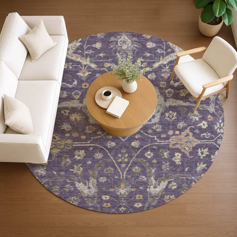 Machine Washable Indoor/ Outdoor Traditional Classic Chantille Rug