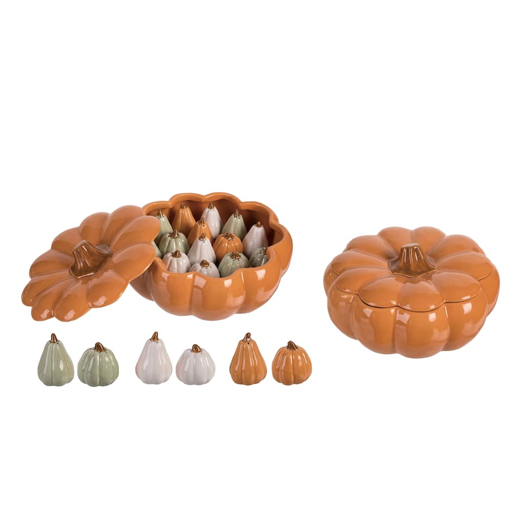 Transpac Dolomite 11 in. Multicolor Harvest Pumpkin Salt and Pepper Shaker Shakers with Display Set of 19