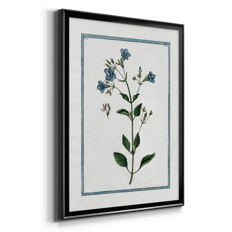 Shabby Chic Botanical II Premium Framed Print - Ready to Hang