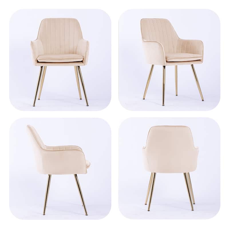 Velvet Dining Chair Set of 2 - Modern Mid-Back Accent Chairs with Gold Plated Legs - Upholstered for Living Room (Set of 2)