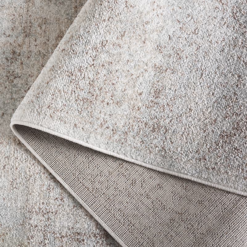 SAFAVIEH Evoke Pety Vintage Distressed Rug