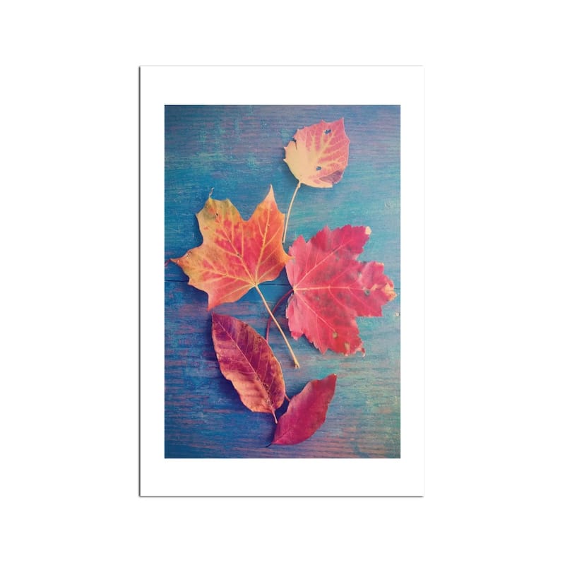 The Colors Of Autumn Fine Art by Olivia Joy StClaire - Multi