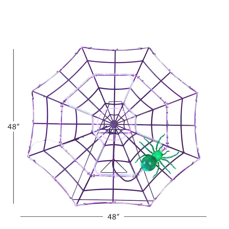 4 ft. Outdoor Animated Spider Web - Purple Web