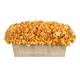 Option Gold