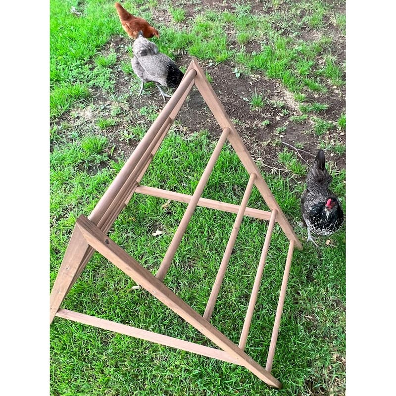 Zylina Play-N-Roost Chick Activity Center - N/A - 36x21x23