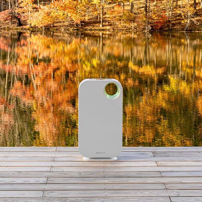 OVAL AIR AIR1000 OVAL AIR H13 True HEPA 3 Speed Portable Air Purifier