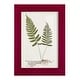 preview thumbnail 1 of 138, Nature Printed Ferns IX -Framed Print w/glass-Cherry Red 4x6 - Red