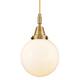 Option Brushed Brass