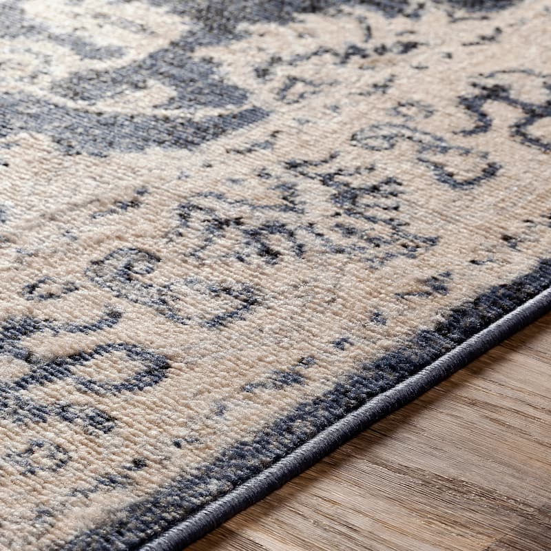 Amedeo Traditional Area Rug