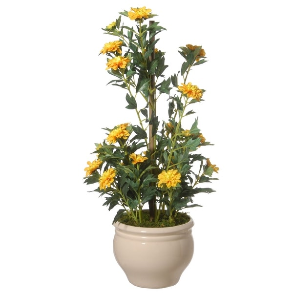 20” Potted Yellow Zinnia Flowers - N/A