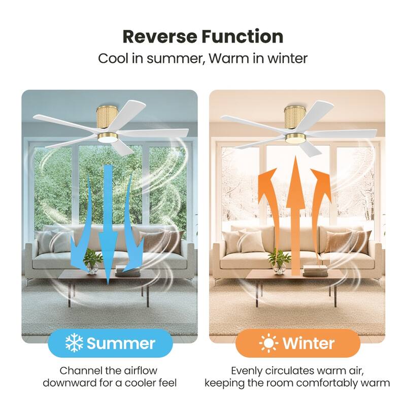 MLiAN 5 Solid Wood Blades Ceiling Fan with Lights Remote Control 6-Speed DC - 54''