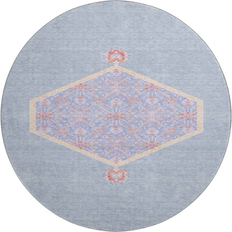 Premium Washable Super Soft Traditional Global Mayfield Rug
