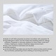 preview thumbnail 3 of 2, Laural Home Coral Cove Comforter Sham