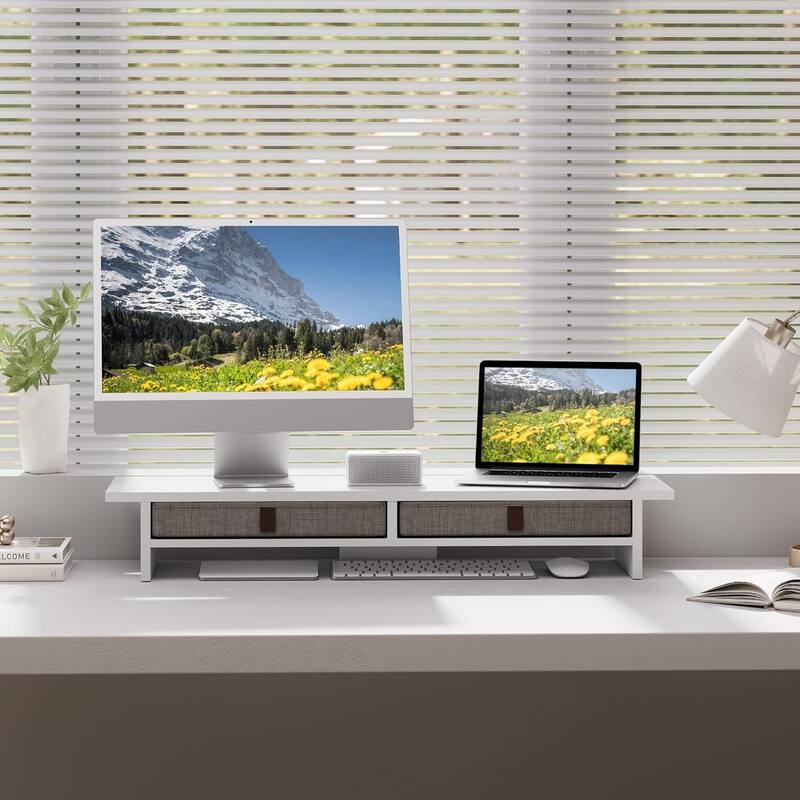 Fenge Dual Monitor Stand, 2 Tiers Monitor Riser for Desk