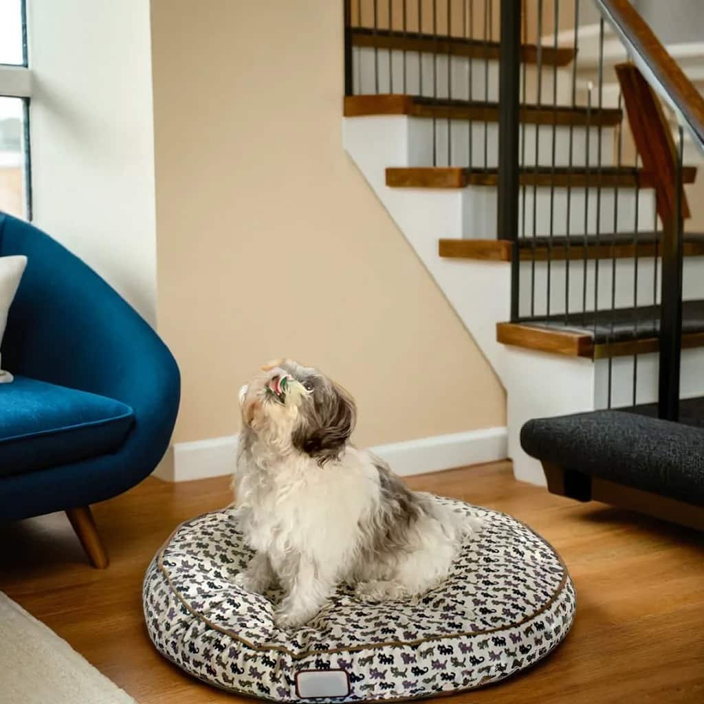 Dog Bed Polyfilled Pet Cushion Crate Mat Soft Pad Washable - 23"(L) x 23"(W) x 6"(H)