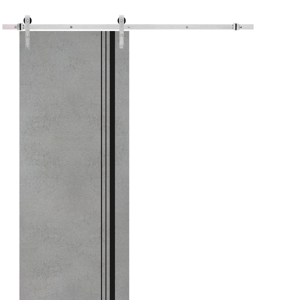 Sturdy Barn Door 36 x 80 Planum 0011 Concrete with 6.6FT