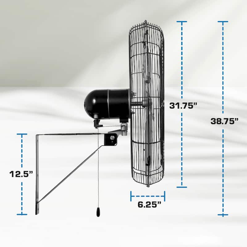 Hurricane 20 Inch Pro Commercial Grade Classic Oscillating Wall Mount Fan, Black