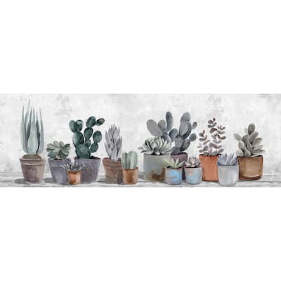 'Succulent Collection' Painting Print on Wrapped Canvas