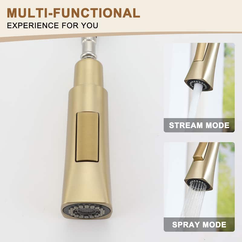 Single-Handle Pull-Out Sprayer Kitchen Faucet