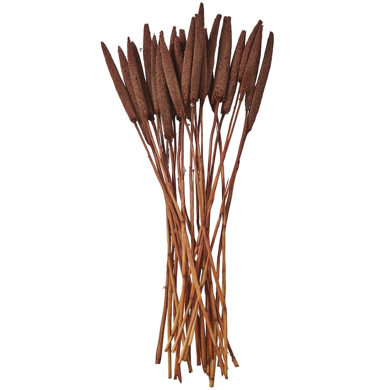Dried Plant Bunny Tail Home Decor Natural Foliage - White, Red, Dark Brown, Orange, Green, Pink, Yellow - Roche River Decor