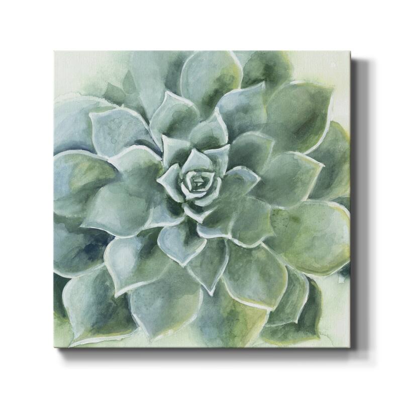 Verdant Succulent II-Premium Gallery Wrapped Canvas - Ready to Hang - 32X32