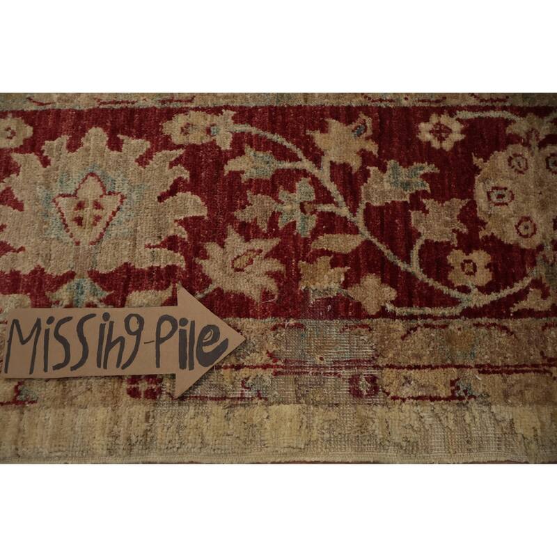 Hand Knotted Oriental 100% Wool Carpet Traditional Floral Beige & Ivories Chobi-Peshawar Area Rug - 11' 6'' X 8' 9''
