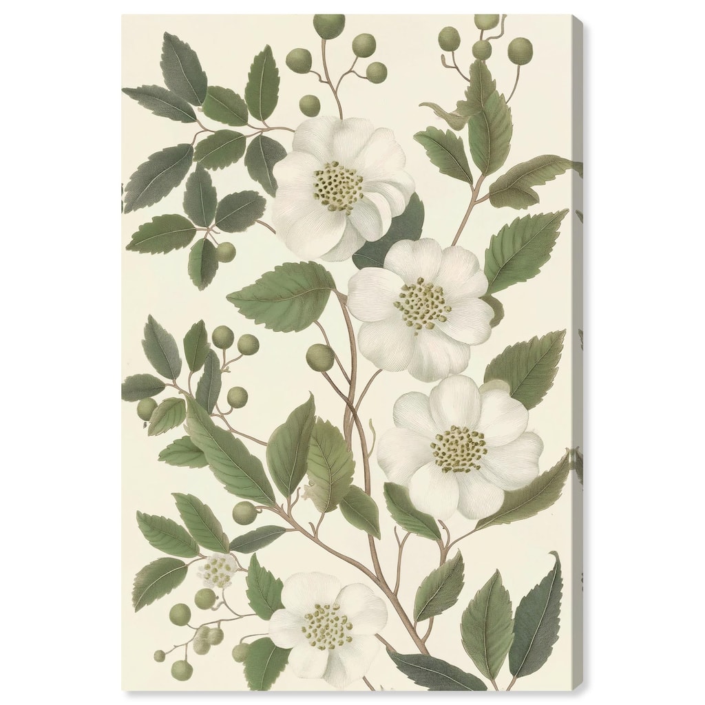 White Cherokee II Canvas by Art Remedy, Gallery Wrapped