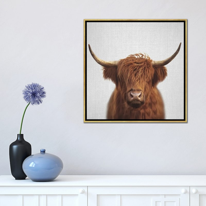 iCanvas "Highland Cow" by Gal Design Framed Canvas Print