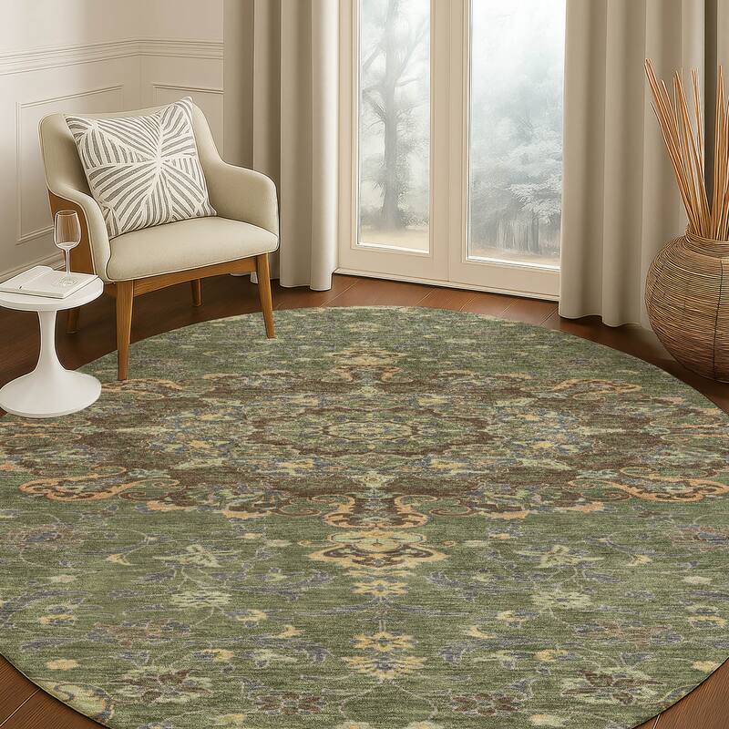 Machine Washable Indoor/ Outdoor Traditional Awaka Chantille Rug