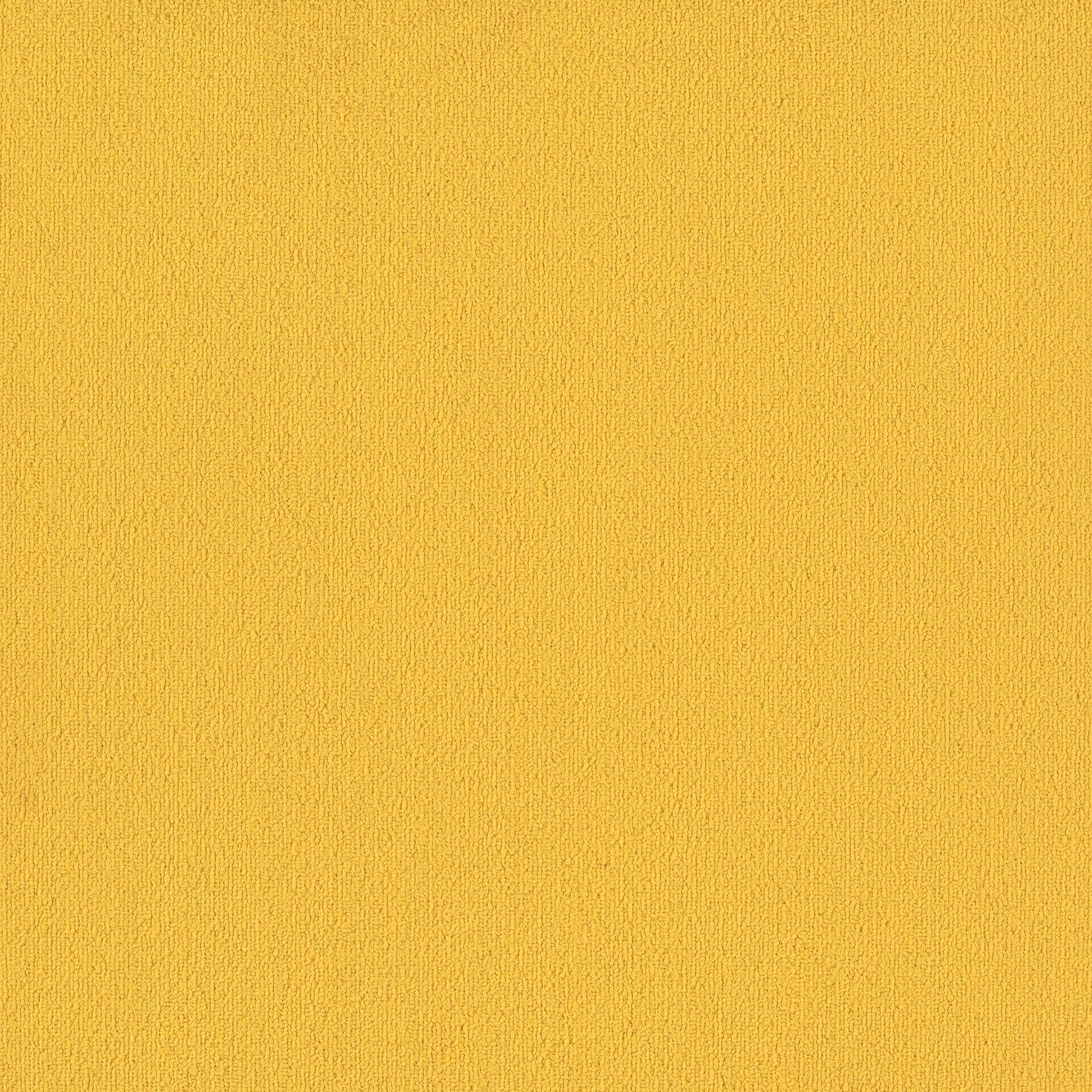 Shaw Philadelphia Commercial Color Accents TL 24" x 24" Glue Down