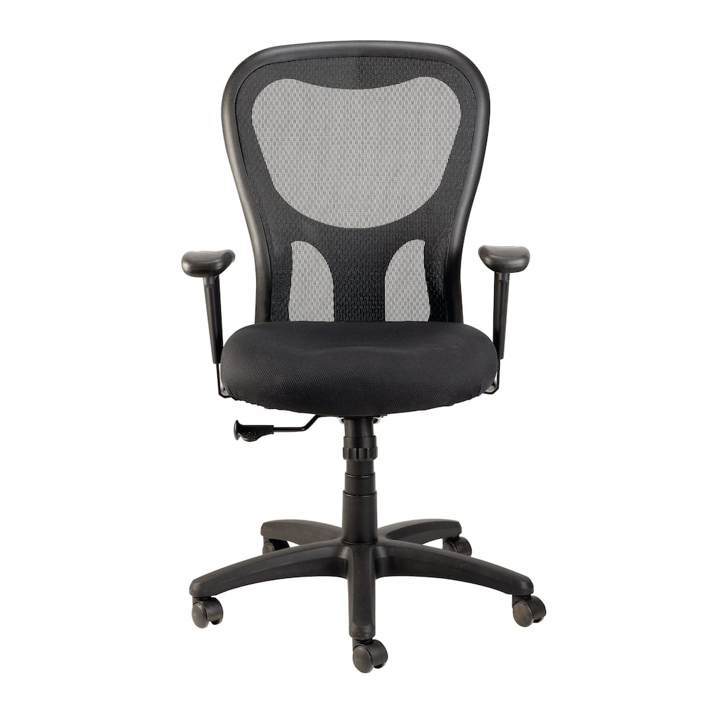 Eurotech Seating Apollo Ergonomic Task Chair, Black, High Back