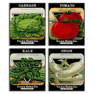 Stupell Vintage Garden Cabbage Framed Giclee Art Design By Lil' Rue (Set of 4)
